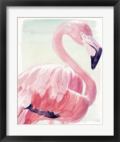 Framed 'Pastel Flamingo II' border=