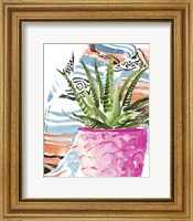 Framed Zebra Succulent I