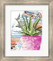 Framed 'Zebra Succulent I' border=