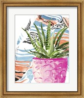 Framed Zebra Succulent I