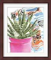 Framed Zebra Succulent II