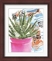 Framed 'Zebra Succulent II' border=