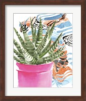 Framed 'Zebra Succulent II' border=