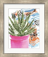Framed Zebra Succulent II