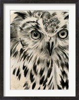 Framed Charcoal Owl I