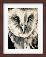 Framed Charcoal Owl II