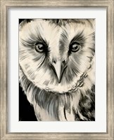 Framed Charcoal Owl II