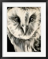 Charcoal Owl II Framed Print