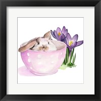 Bunny Crossing II Framed Print