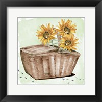 Summer Picnic II Framed Print