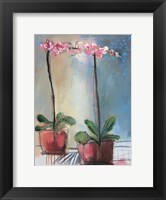Framed Orchid and Lace I