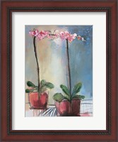 Framed Orchid and Lace I