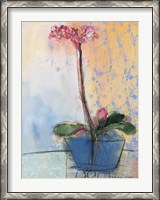 Framed Orchid and Lace II