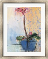 Framed Orchid and Lace II