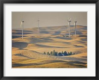 Farm & Field IV Framed Print