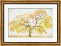 Framed Golden Tree