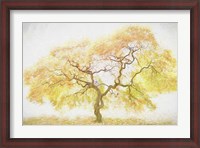 Framed Golden Tree