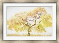 Framed Golden Tree