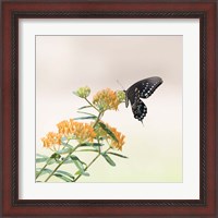 Framed 'Butterfly Portrait II' border=