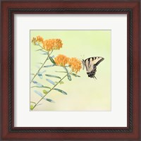 Framed 'Butterfly Portrait III' border=