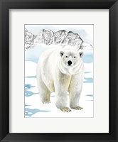 Framed Arctic Animal II