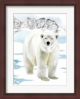 Framed Arctic Animal II