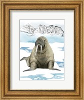 Framed Arctic Animal III