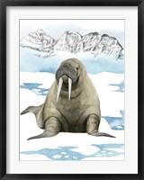 Framed Arctic Animal III