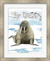 Framed Arctic Animal III
