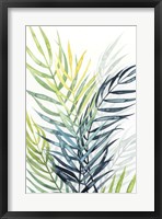 Sunset Palm Composition II Framed Print