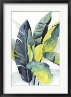 Sunset Palm Composition III Framed Print