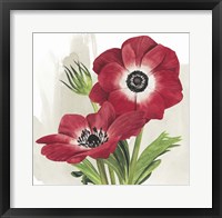 Crimson Anemones II Framed Print