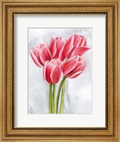 Framed Tulip Tangle II