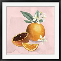 Framed Orange Blossom I