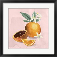 Framed Orange Blossom I