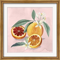 Framed Orange Blossom II