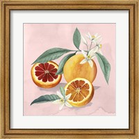 Framed Orange Blossom II