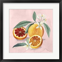 Orange Blossom II Framed Print