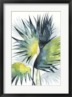 Sunset Palm Composition IV Framed Print