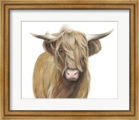Framed Highland Cattle I