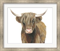 Framed Highland Cattle II