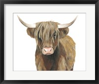 Highland Cattle II Framed Print