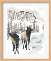 Framed Winter Elk II