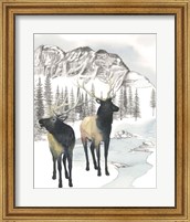 Framed 'Winter Elk II' border=