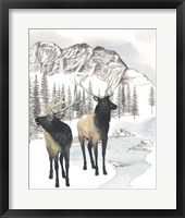 Winter Elk II Framed Print