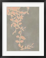 Coral Pothos I Framed Print