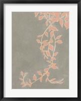 Coral Pothos II Framed Print