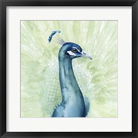 Lucent Plume I Framed Print