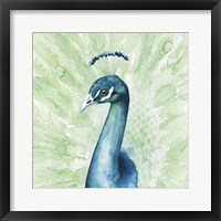 Lucent Plume II Framed Print