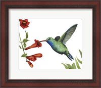 Framed Hummingbird & Flower I